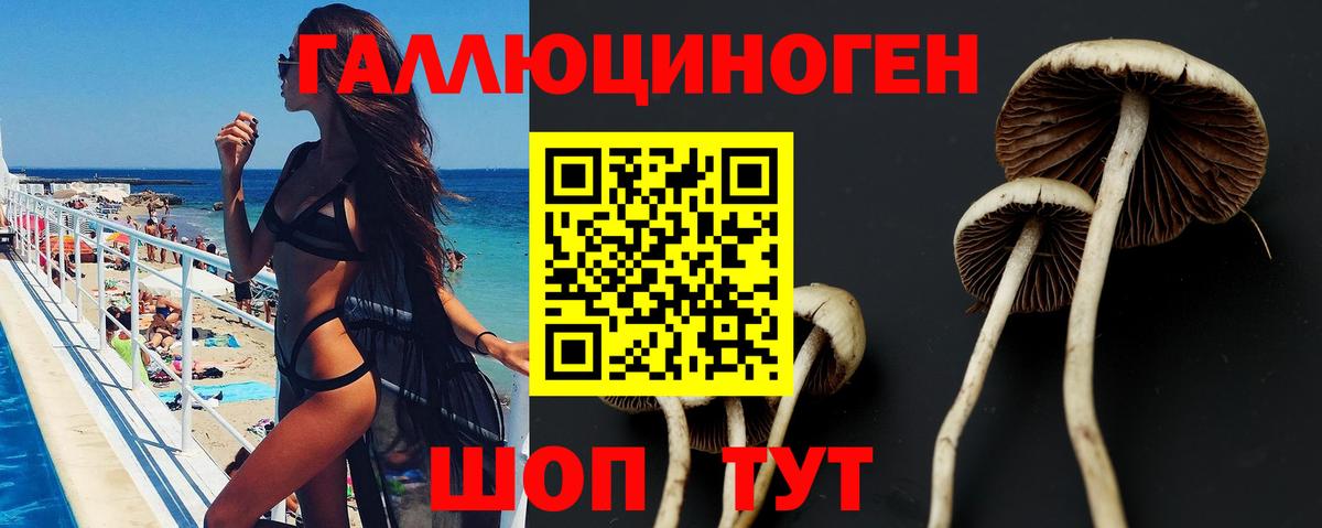 Белая Калитва  Галлюциногенные грибы GOLDEN TEACHER  Вход с VPN 